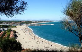 Scellier au soleil